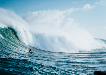 Riding the wave of disruptive change